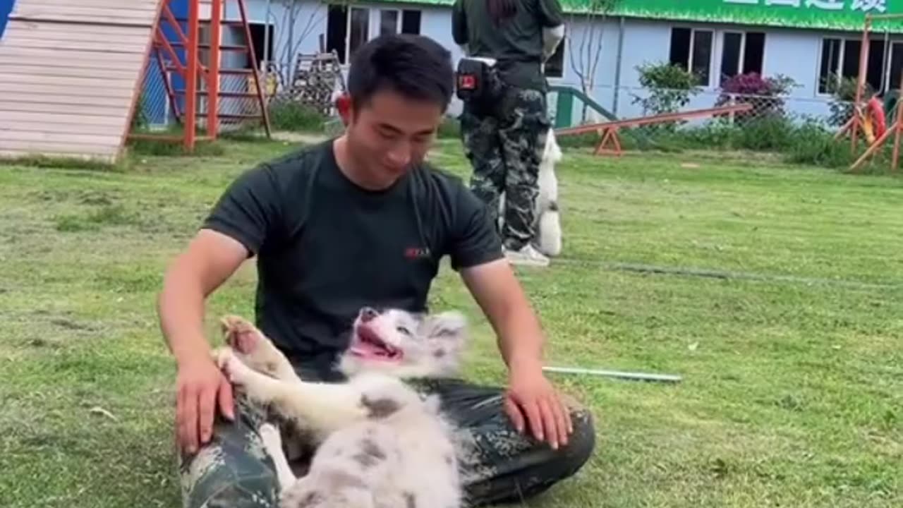 Dog having fun with his master must watch :)