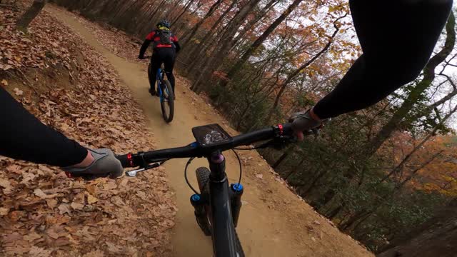 Ridgeline Trail DuPont NC Beautiful Fall Colors 2022