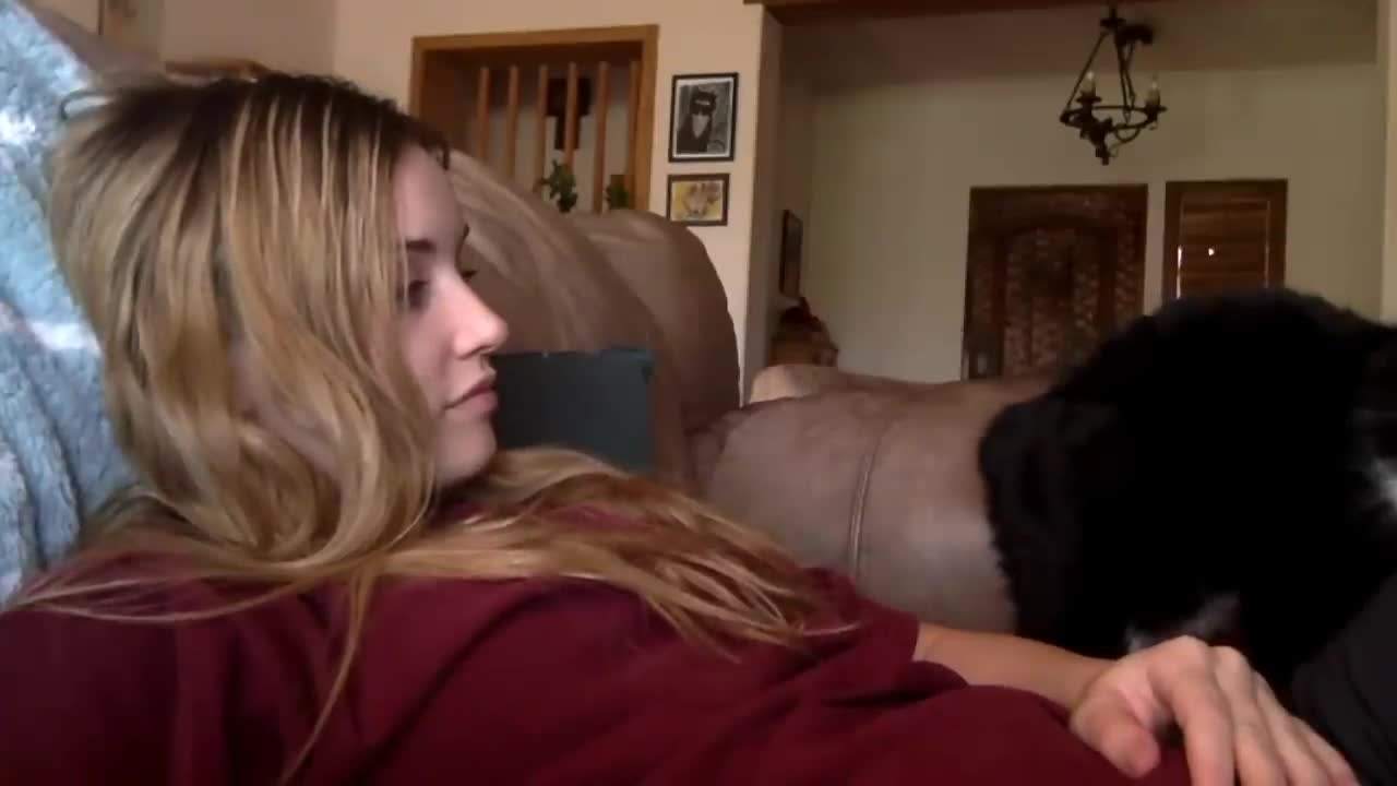 Cat politely asking to get petted_1