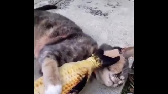 Funny Fails Compilation # 177