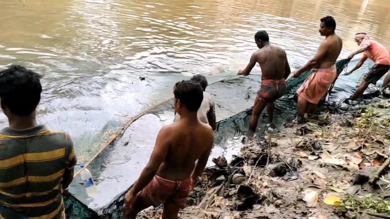 अद्भुत आसान मछली जाल | Unique Easy Fish Trap System