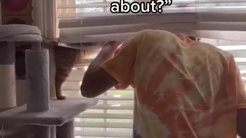 i saw my cat looking out the blinds by himself…..