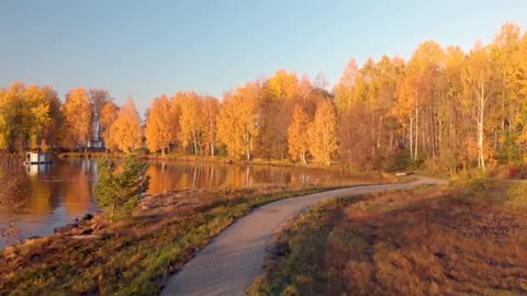 Enchanting Autumn Forests with Beautiful Piano Music