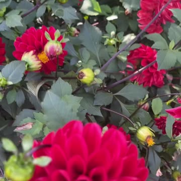 Lesson that everyone learns at some point of life