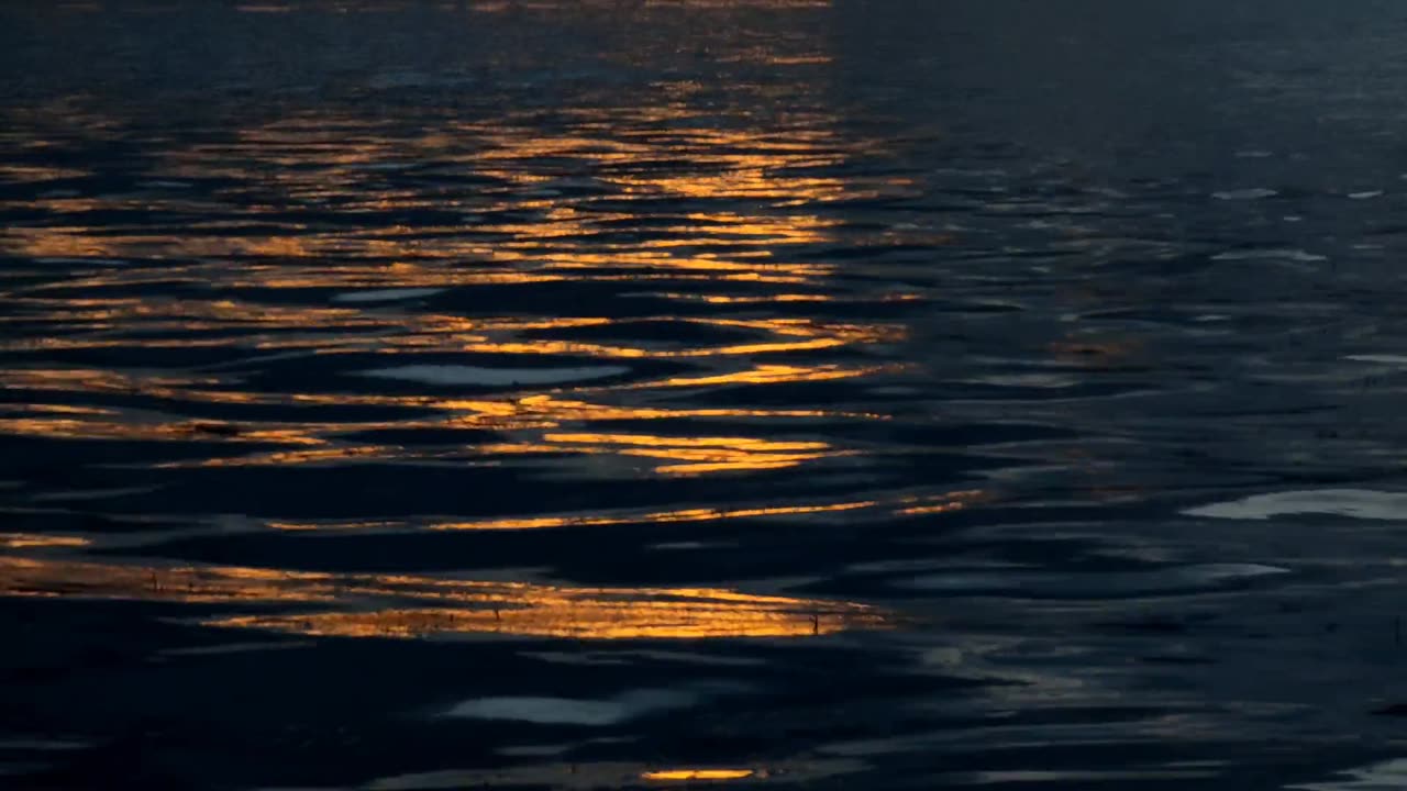 See the sea once more and you'll be relieved