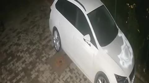 Camera caught thieves trying to steal car. Look what happens