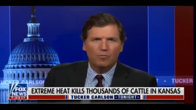 Tucker Carlson Covers the 10,000 Kansas Cattle Deaths and Food Processing Crisis in America