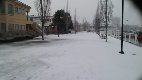 Beautiful Snow Falling In Kelowna January 21 2023