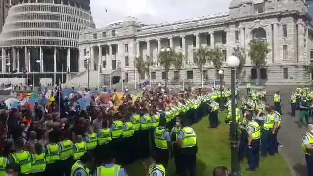 THE SITUATION IN NEW ZEALAND.