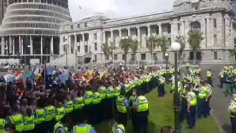 THE SITUATION IN NEW ZEALAND.