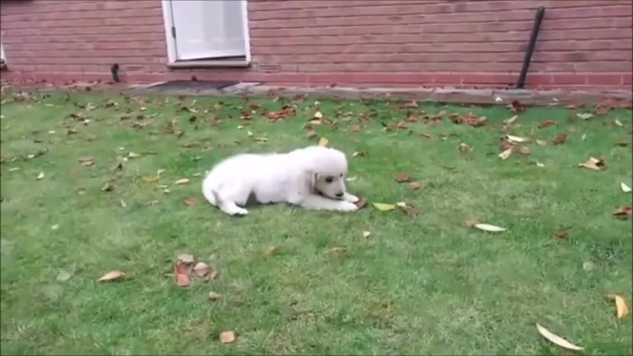 Episode 18 - Cannot stop laughing