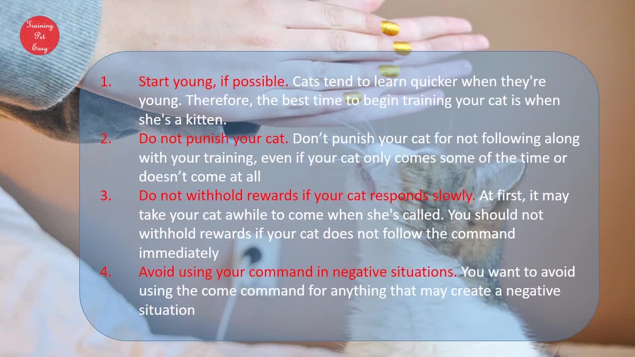 Training a Cat to Respond to your call