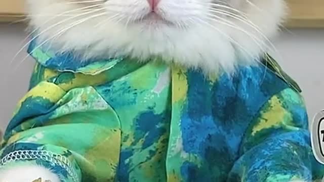 I laugh so hard 🤣