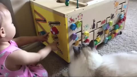 Baby teaches cat busy cube