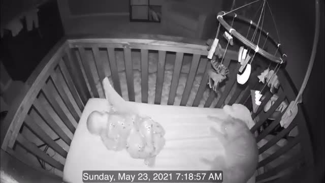 Cat climbs into baby crib enjoys and play