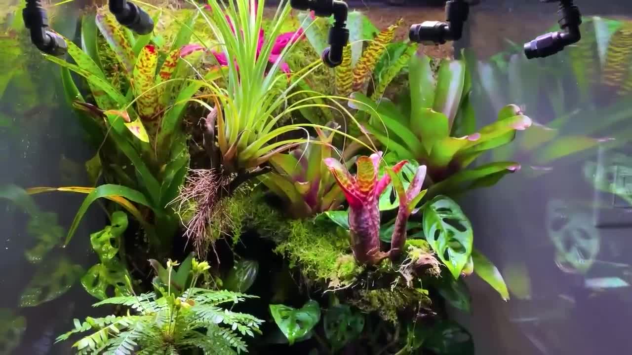 One Year Ago I Built an Ecosystem, This Happened