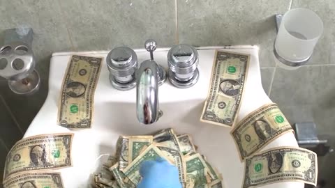 Women washes, dries, and irons dollar bills in funny video!