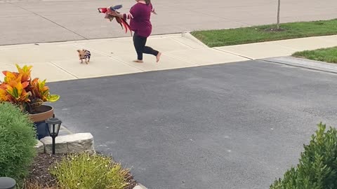 Helping a Disabled Macaw to Feel Like It’s Flying