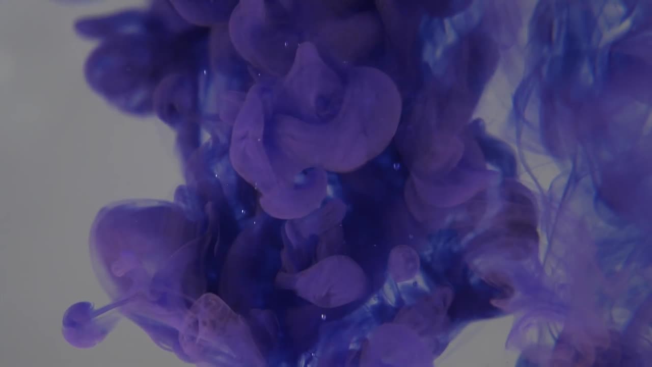 Purple Water Drop Motion Backgrounds || Free Video Background Loops - Copyright Free Backgrounds