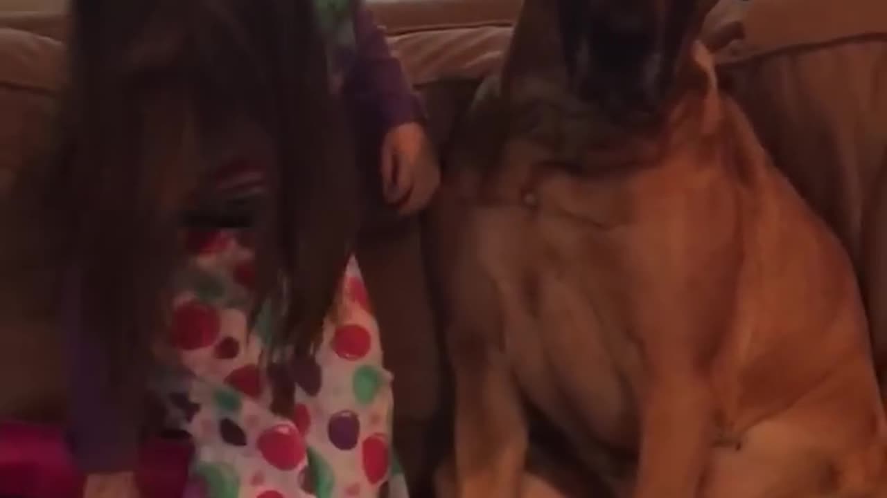 Cute Little Girl Becomes Vet for Her Pup!