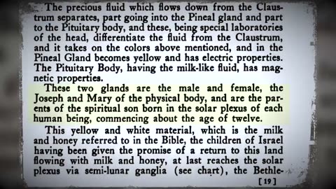 🥩 Meat~Solar Plexus~Bethlehem~Christ Within~ Mirrored