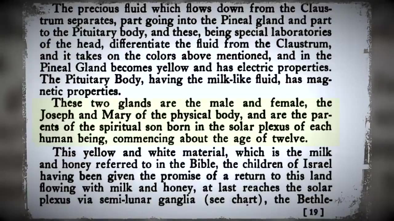 🥩 Meat~Solar Plexus~Bethlehem~Christ Within~ Mirrored