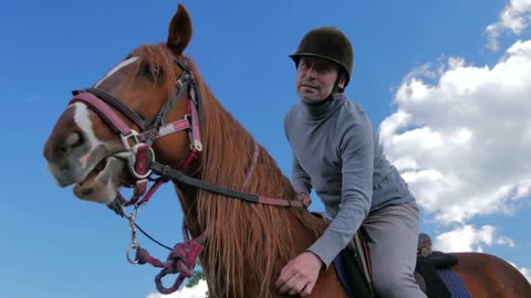 Man in helmet sitting on horse in front of the sky