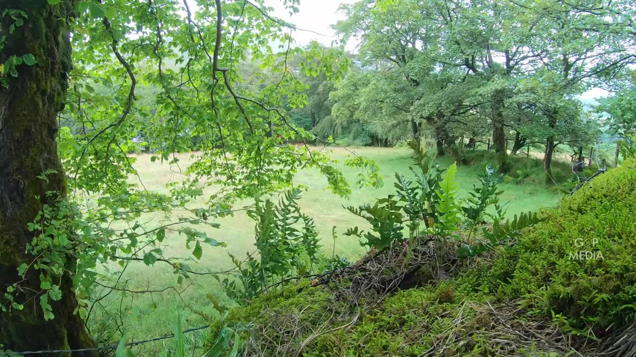 Relaxing Ireland _ Nature Video - Water Stream_ Mountains - Sleep