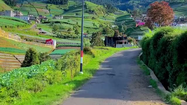 Road To Nepal Van Java