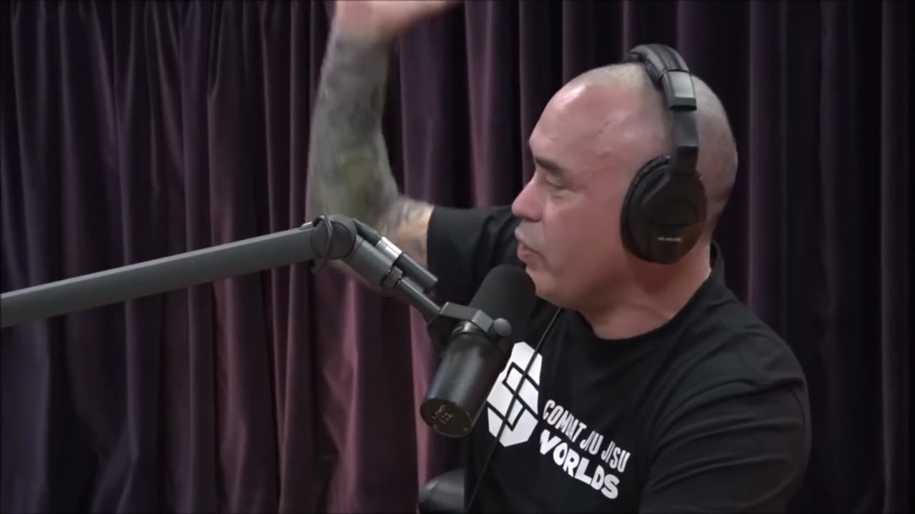 BOHEMIAN GROVE - Eddie Bravo, Joe Rogan, Brendan Schaub, Bryan Callen