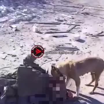 War in ukraine Donbass