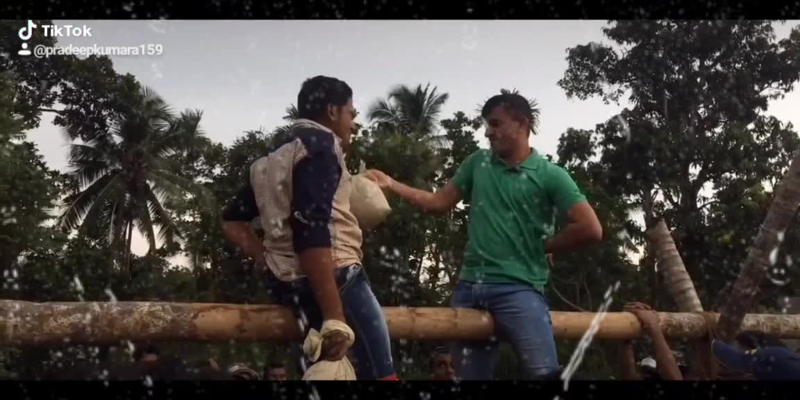 Kotta pora
