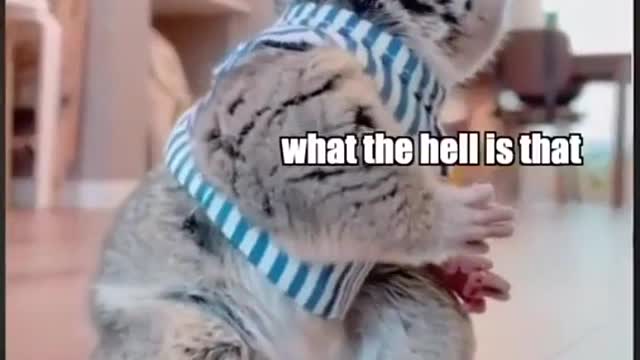 You got the snacks
