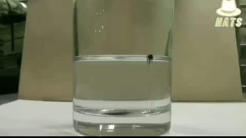 ⚫ Graphene IN Capsules/ HOME TEST❗