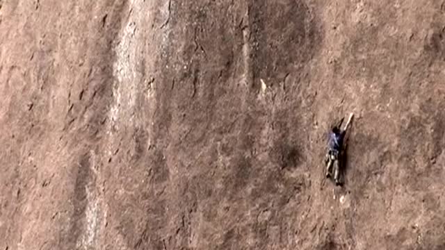 Monkey See Monkey Do - Trailer