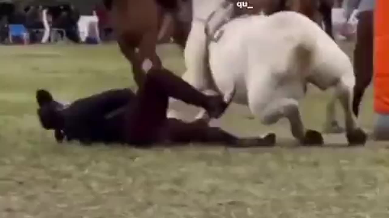 Horse Suplex