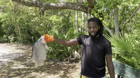 City Boyz Fishing Adventure: Exploring the Hidden Gems in the city. EP:2 Tilapia
