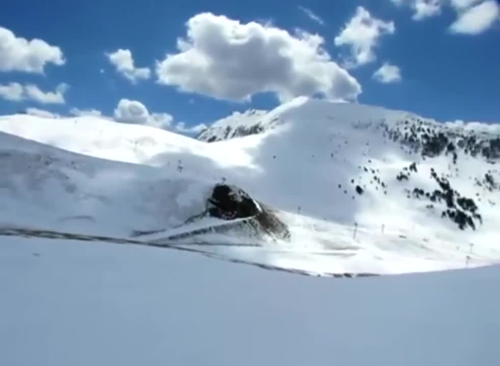 Guy Came Across A Lady Bug In A Snow Mountain Pleasant Surprise