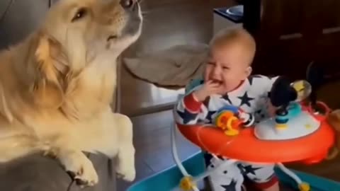 Cute and Funny Baby 😍😍😅😅 #viral #shorts #reels #baby #cutebaby #funnybaby #trending #kids #mmvbaby
