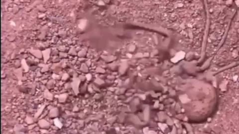 Respect 😱🤯🔥 Videos