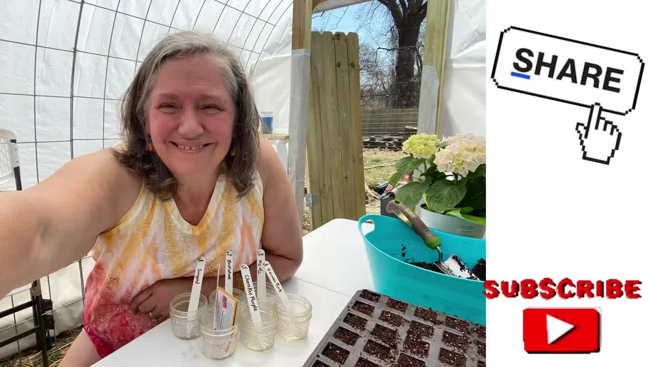 How to make a GREENHOUSE for CHEAP $125. #midwestmeanderings #greenhouse #homesteading