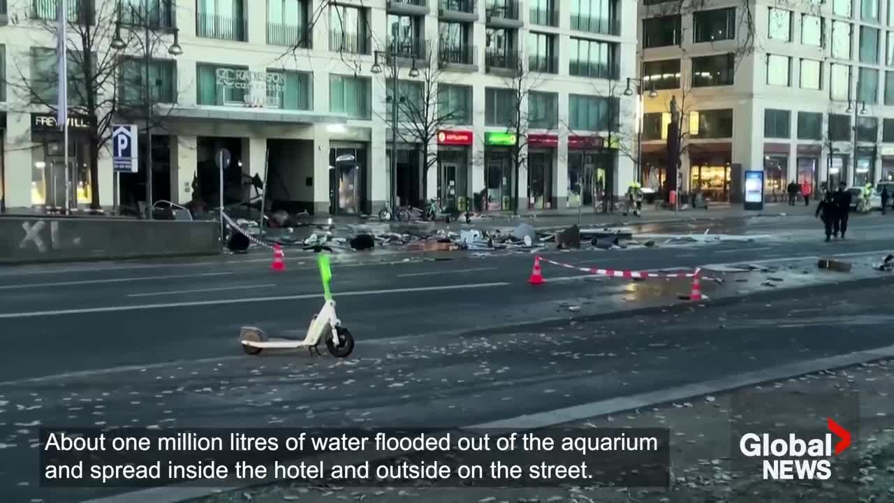 Huge aquarium in Berlin inexplicably bursts, dumping 1 million litres of water onto city streets