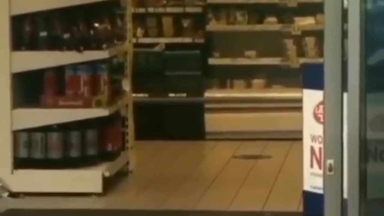 A strange bird enters a shopping mall