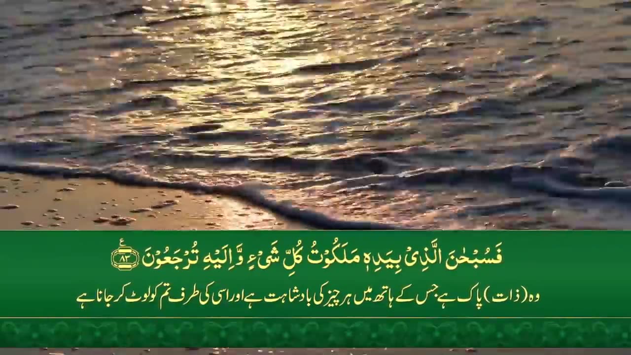 Surah Yasin ( Yaseen ) with Urdu Translation _ Quran Tilawat Beautiful Voice _ Hindi Tarjuma