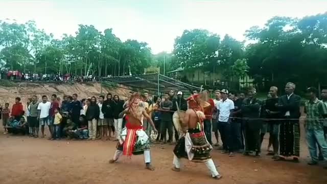 Manggarai Culture the name is caci