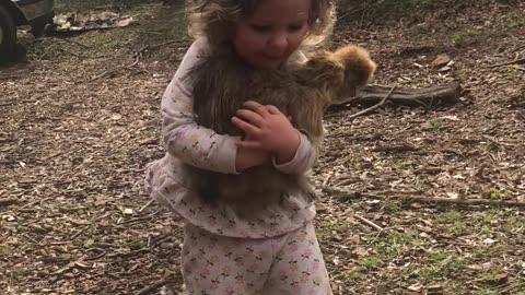 Girl Calms The Chickens