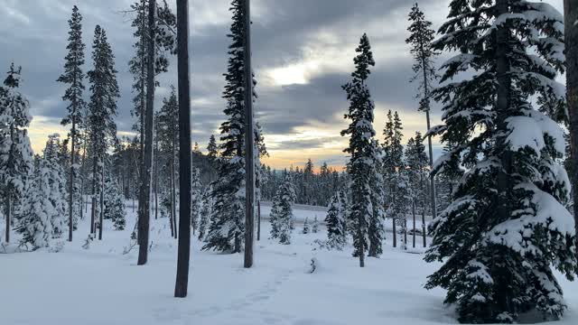 Painting Sunrise – Central Oregon – Vista Butte Sno-Park – 4K