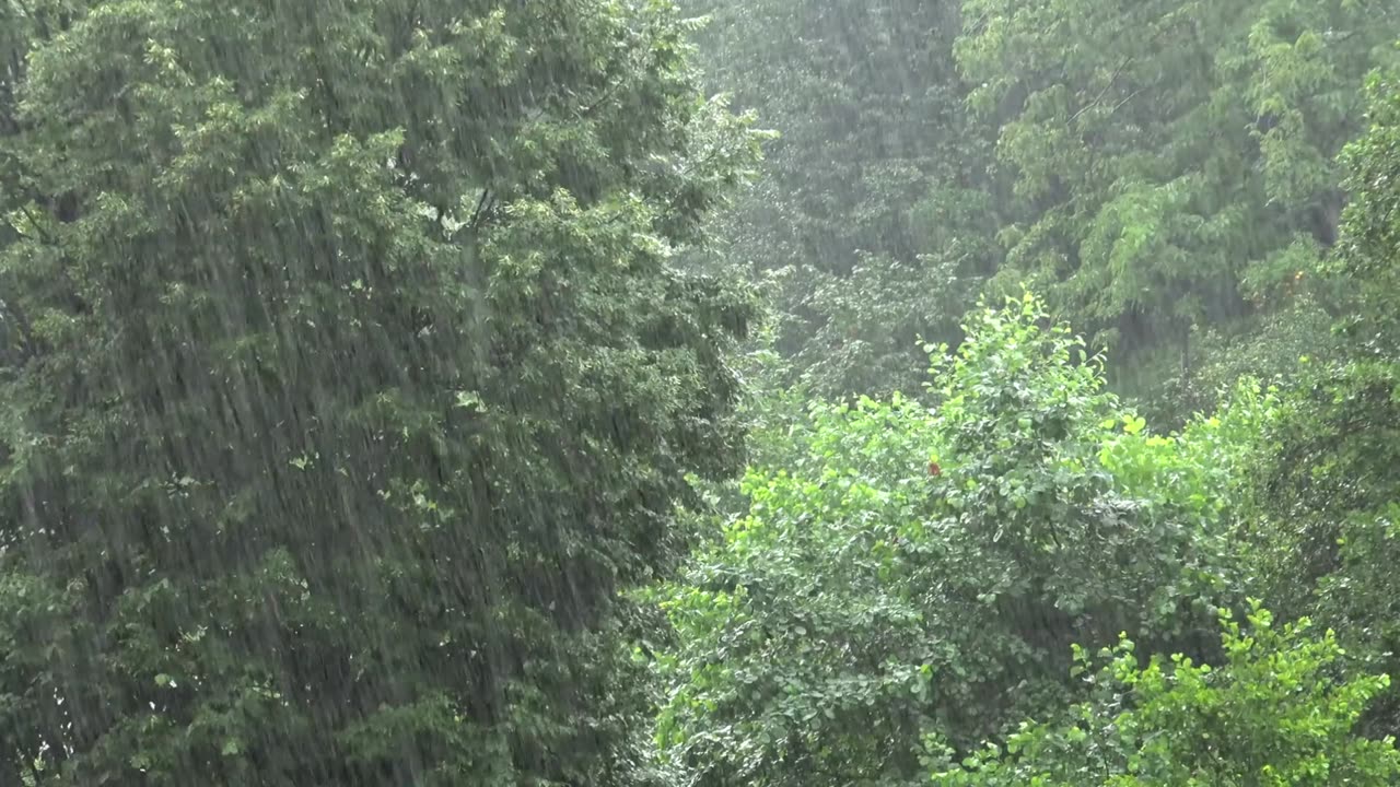 15 Minutes of Calming Piano and Rain for Relaxation and Sleep