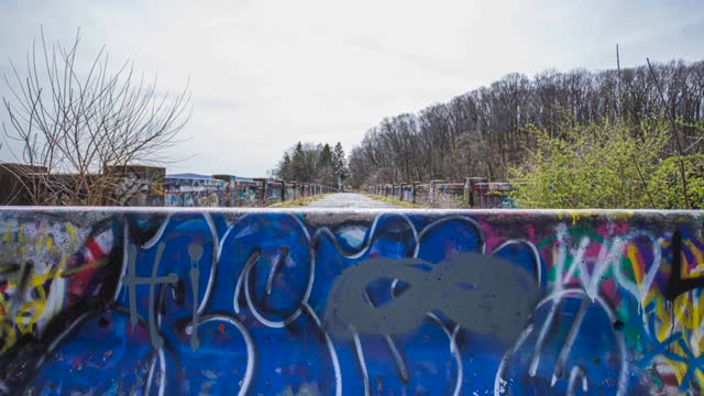 Trip to Reading, PA! | Bridge & Walking Trail | The Pagoda