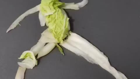 Cabbage dances Mongolian dance